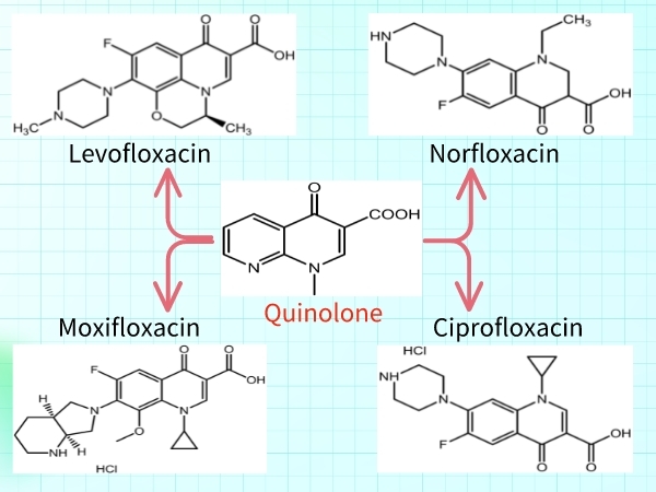 SZEB Supplies Quinolones Related Impurities