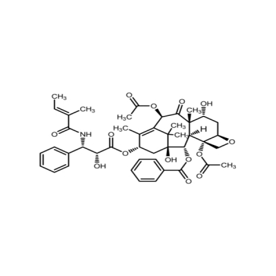 Paclitaxel EP Impurity D